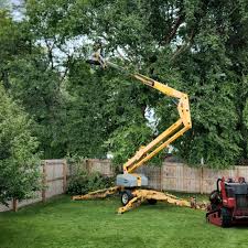 Best Leaf Removal  in Potomac, MD