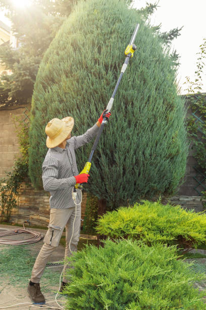 Best Pest Control for Lawns  in Potomac, MD